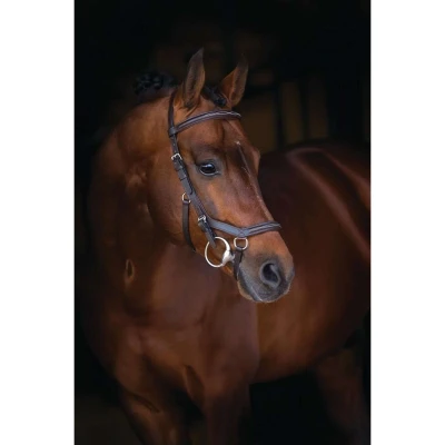 Afbeelding van Rambo Micklem Deluxe Competition Bridle Dark Havanna Pony