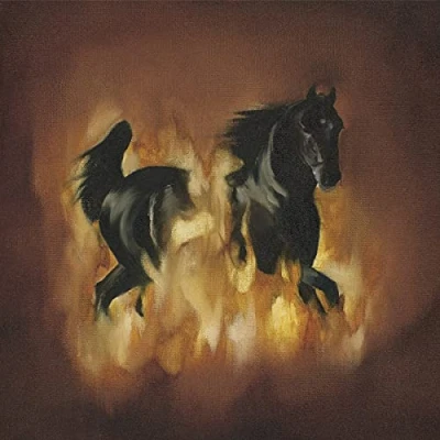 Afbeelding van Besnard Lakes Are The Dark Horse