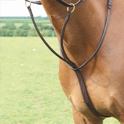 Afbeelding van Salisbury Martingaal Hulpteugel Australian Nut Pony