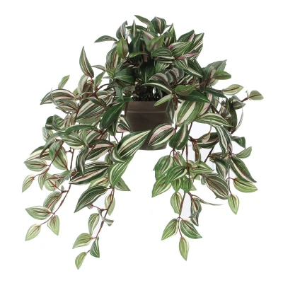 Afbeelding van Mica Decorations tradescantia groen in pot Stan maat cm: 45 x 25