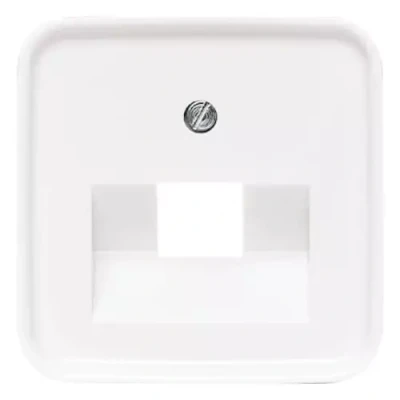 Afbeelding van Busch Jaeger centraalplaat voor datadoos 1 x RJ45 alpin wit 1803 214