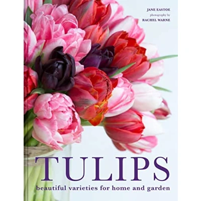 Afbeelding van Tulips