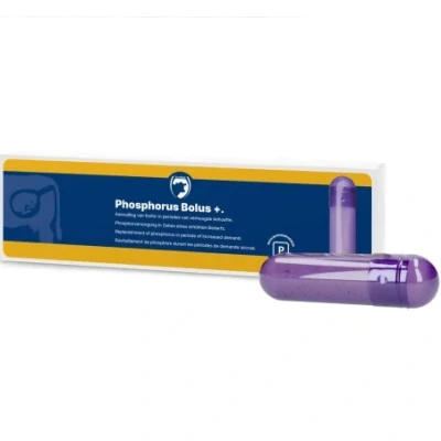 Afbeelding van Fosfor bolus+