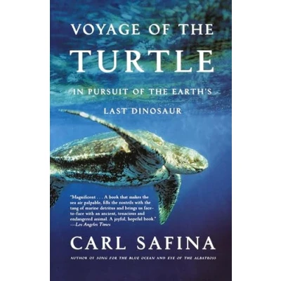 Afbeelding van Voyage Of The Turtle
