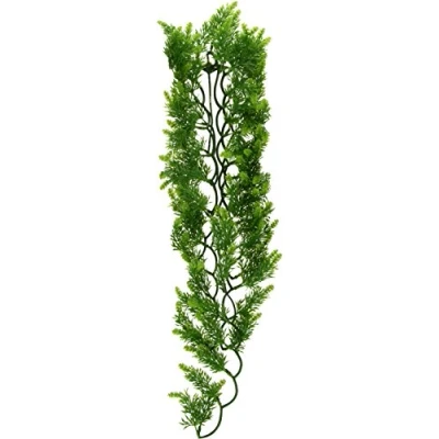 Afbeelding van Zoomed Naturalistic Flora Malasian Fern Large