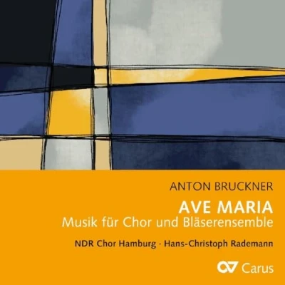 Afbeelding van Hans Christoph Rademann, NDR Chor Hamburg Bruckner: Ave Maria (CD)