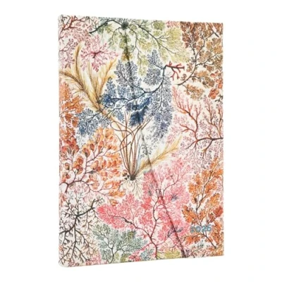 Afbeelding van Agenda 2026 12 mnds Anemone Midi HOR