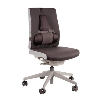 Afbeelding van Rugsteun Fellowes Pro Ultieme