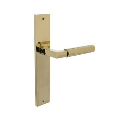 Afbeelding van Intersteel Deurkruk Bau Stil op schild 245x45 mm blind messing titaan PVD