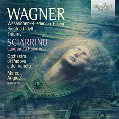 Afbeelding van Orchestra Di Padova E Del Veneto, Marco Angius Wagner: Wesendonck Lieder, Siegfried Idyll, Träume (CD)