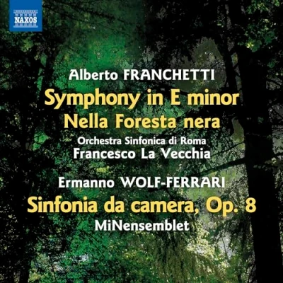 Afbeelding van MiNensemblet, Orchestra Sinfonica di Roma, Francesco La Vecchia Symphony In E Minor Nella Foresta Nera Sinfoni da Camera (CD)