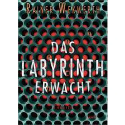 Afbeelding van Das Labyrinth erwacht