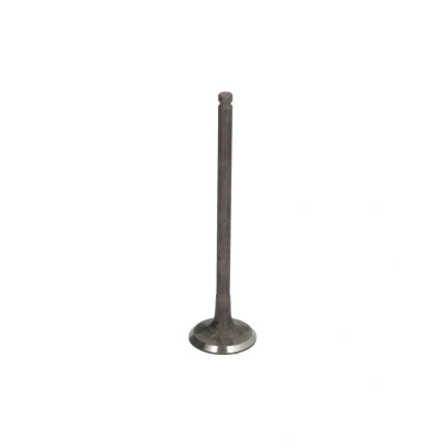 Afbeelding van FRECCIA R6953/RNT Uitlaatklep 24,2 Klepsteel met nitraat verzien CITROËN: C3 II, Berlingo II Van, PEUGEOT: 2008 Estate, 208 I Hatchback