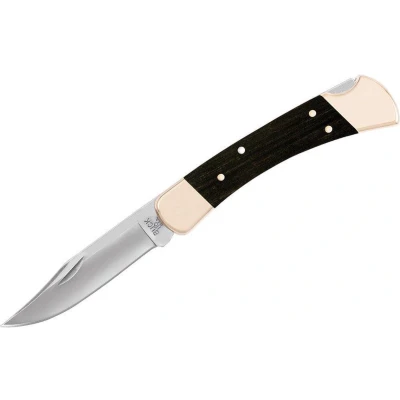 Afbeelding van Buck 110 Folding Hunter zakmes backlock lederen sheath