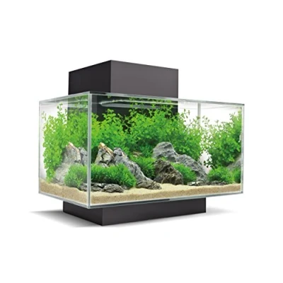 Afbeelding van Fluval Edge I 2.0 aquarium Zwart 23L
