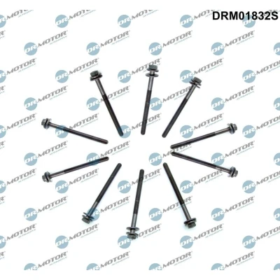 Afbeelding van DR.MOTOR AUTOMOTIVE DRM01832S Cilinderkopbouten Buiten zeszijdig 10 FORD: Ranger Mk3, Transit Custom V362 Minibus, Tourneo Minibus