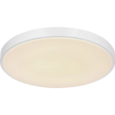 Afbeelding van Sonny LED plafondlamp, zilver, CCT, Ø 50,5 cm