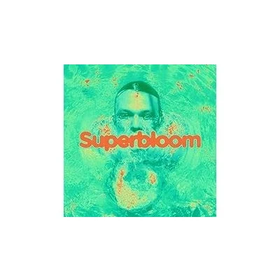 Afbeelding van Ashton Irwin Superbloom (LP)