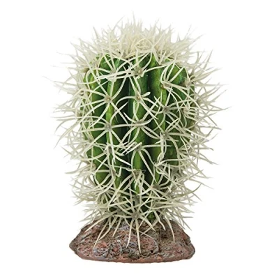 Afbeelding van Hobby Terrano Cactus Great Basin
