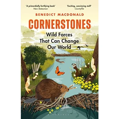 Afbeelding van Cornerstones