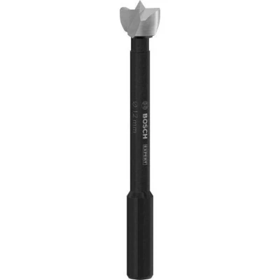 Afbeelding van Bosch Accessories 2608901822 Forstnerboor 12 mm Gezamenlijke lengte 88 1 stuk(s)