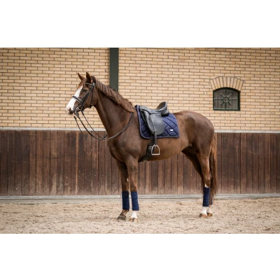 Image de HB Showtime Tapis de Selle Crown Dressage Marin Full