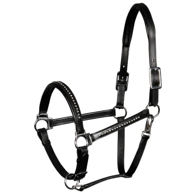 Image de Harry&#039;s Horse Licol Finesse Crystal Cuir Noir Cob