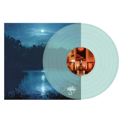 Afbeelding van Planes Mistaken For Stars Do You Still Love Me? (LP)
