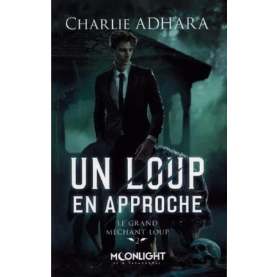 Afbeelding van LE GRAND MECHANT LOUP,2:UN LOUP EN APPROCHE