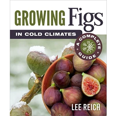 Afbeelding van Growing Figs in Cold Climates