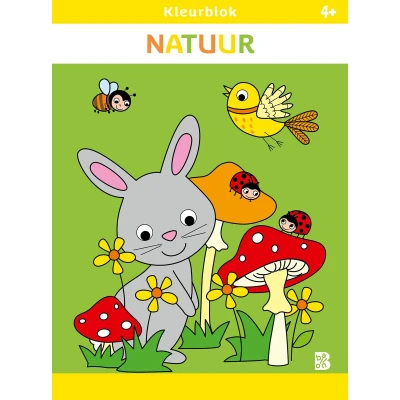 Afbeelding van Kleurblokken 1 Natuur (4+)