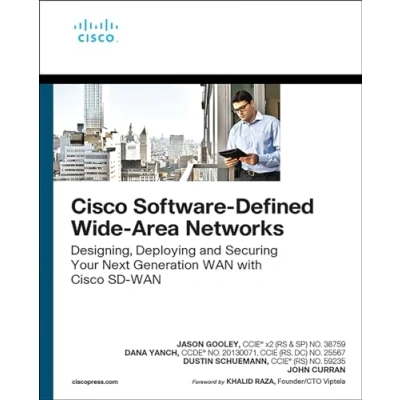 Afbeelding van Cisco Software Defined Wide Area Networks