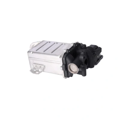 Afbeelding van Febi Bilstein EGR klep 181112