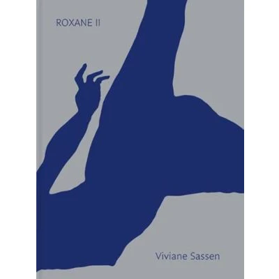 Afbeelding van Viviane Sassen: Roxane II