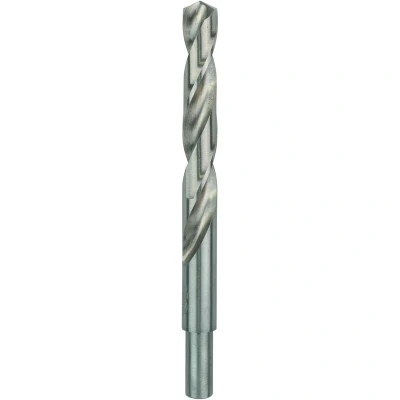 Afbeelding van Bosch Accessories 2608585594 HSS Metaal spiraalboor 15 mm Gezamenlijke lengte 169 Geslepen DIN 338 Cilinderschacht 4 stuk(s)