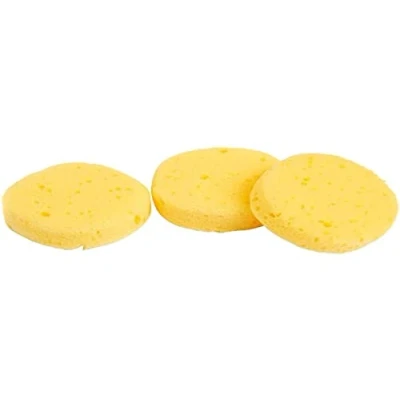 Image de Eponges pour peindre