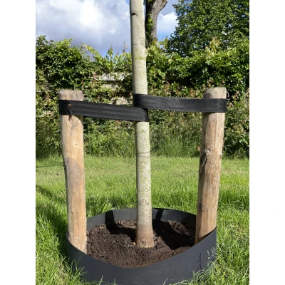 Afbeelding van Wovar Boomband op Rol 50 meter Nylon Per