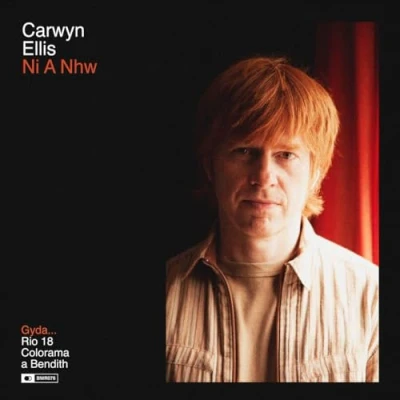 Afbeelding van Carwyn Ellis Ni a Nhw (LP)