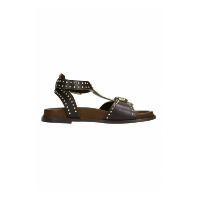 Afbeelding van Sacha Dames Donkerbruine leren sandalen met goudkleurige buckles en studs Maat 37