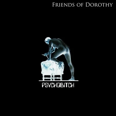 Afbeelding van Friends of Dorothy Psychobitch (LP)