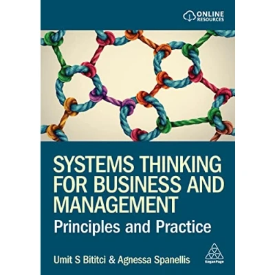 Afbeelding van Systems Thinking for Business and Management