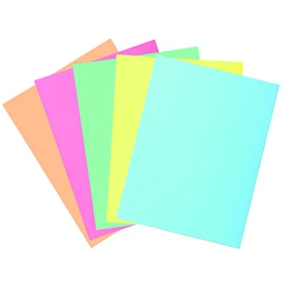 Afbeelding van Exacompta Art. Nr. 332100E 5 stuks vaste snelhechtmappen met 2 kleppen SUPER 210 g/m² pastelkleuren PEFC™ gecertificeerde afmetingen 24 x 32 cm voor DIN A4 documenten verschillende kleuren