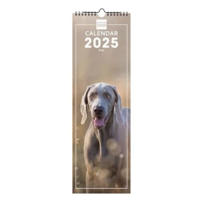 Afbeelding van Finocam Muurkalender met spiraal, 15 x 48 cm, internationaal, 2025, 1 maand per pagina januari 2025 december (12 maanden) internationale honden