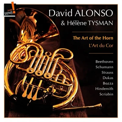 Afbeelding van Die Kunst Des Horns