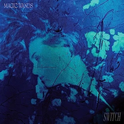 Afbeelding van Magic Wands Switch (LP)