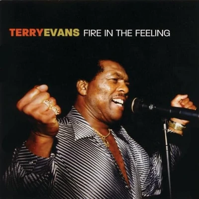 Afbeelding van Terry Evans Fire In The Feeling (CD)
