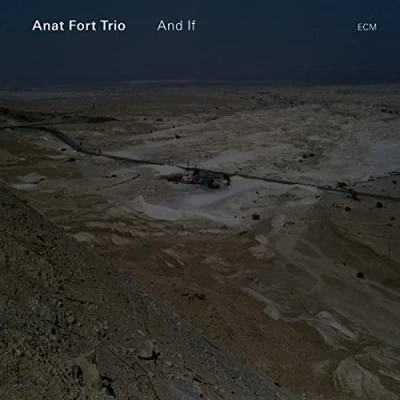 Afbeelding van Anat Fort Trio And If (CD)
