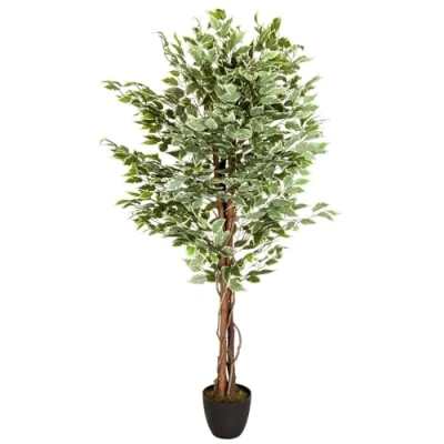 Afbeelding van FICUS Kunstplant Groen