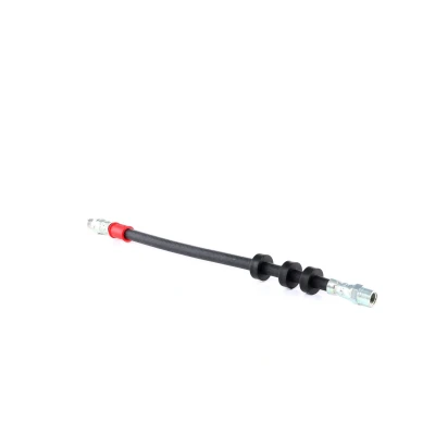 Afbeelding van Febi Bilstein Remslang 22421