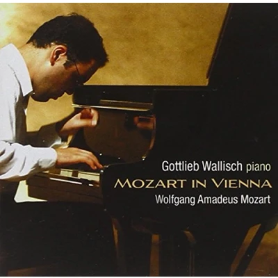 Afbeelding van Gottlieb Wallisch Mozart In Vienna (Super Audio CD)